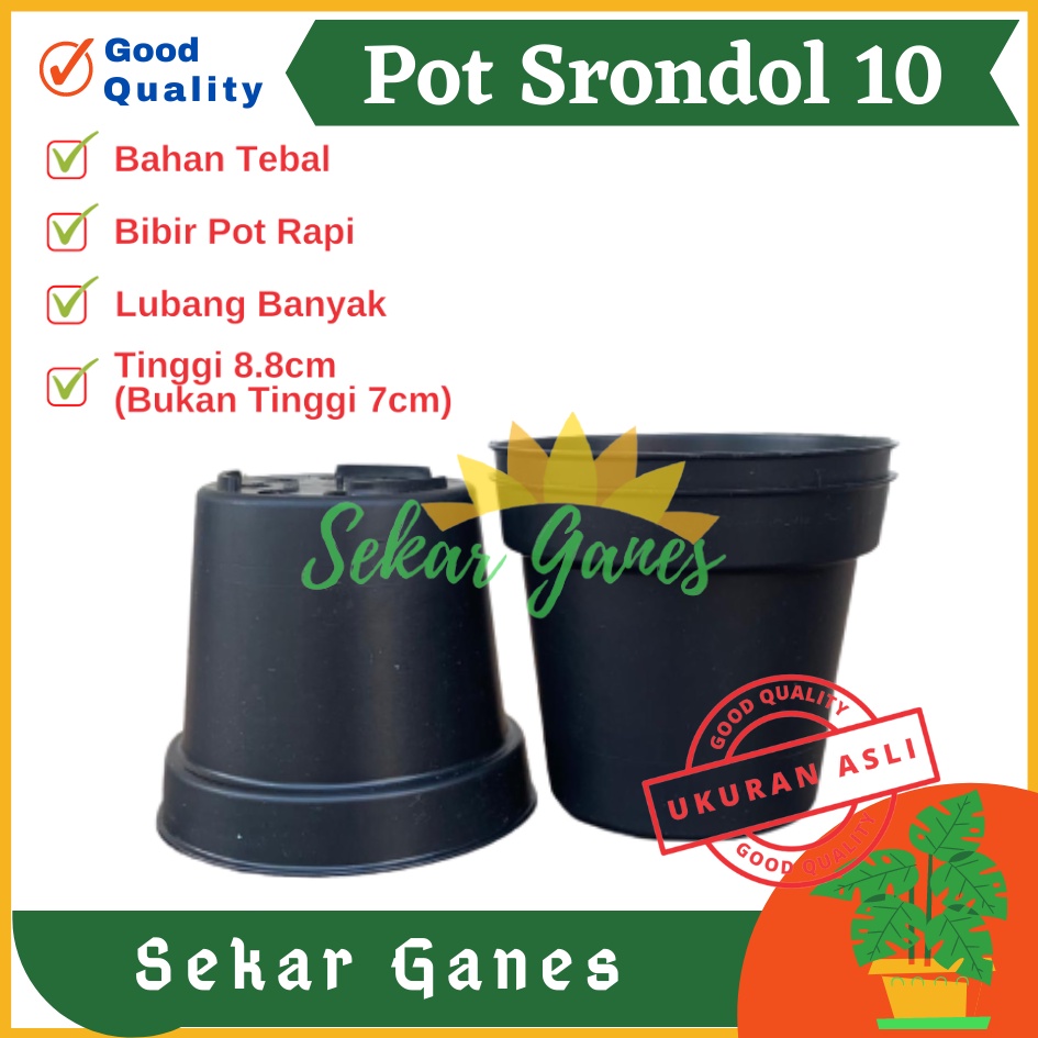 Pot 10cm Hitam Murah - Pot Bulat Mini Kecil Bisa Untuk Vas Bunga Pot 10 cm Hitam Polos Pot Tawon 10