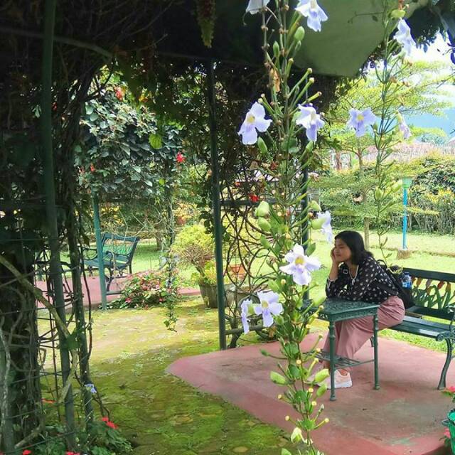 ribkayohanasihombing