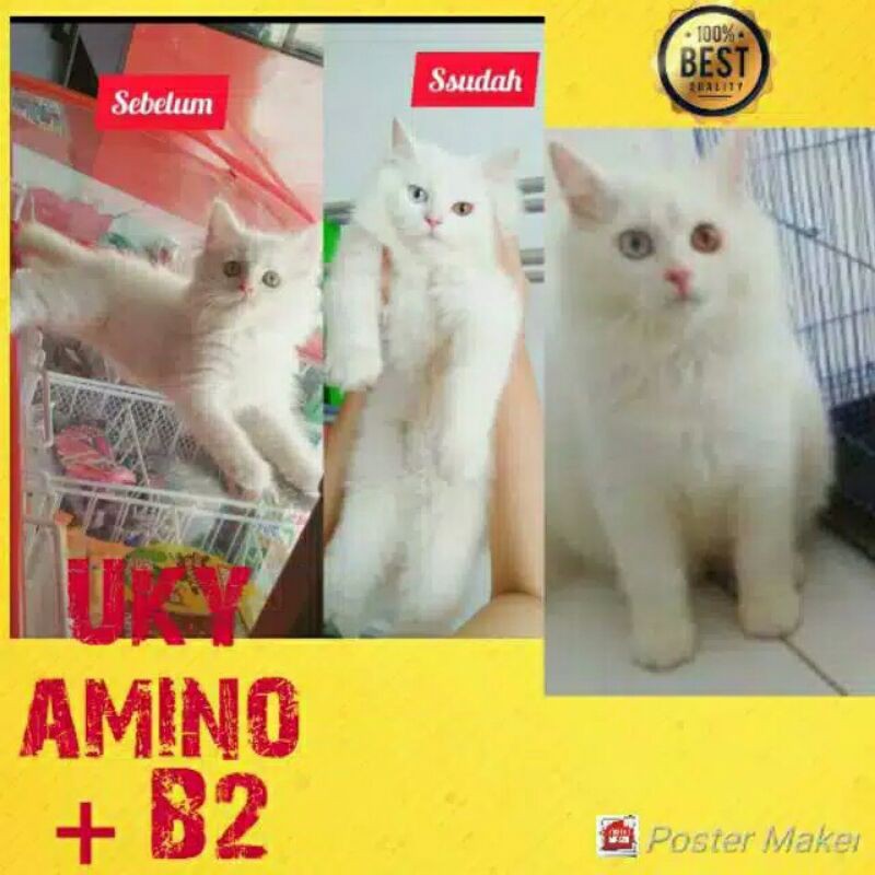 B2 Paket vitamin uky amino bulu rontok kucing 100ml