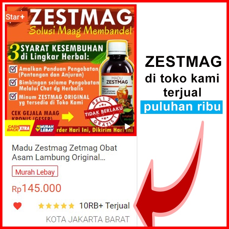 Madu Zestmag Original Obat Maag GERD Asam Lambung Anxiety Herbal