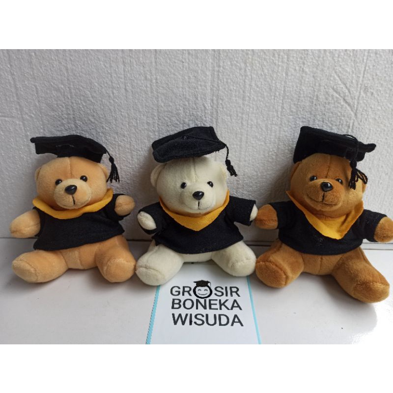 Boneka wisuda / Boneka bear wisuda / Boneka wisuda mini / Boneka bear mini / Boneka bucket wisuda / 