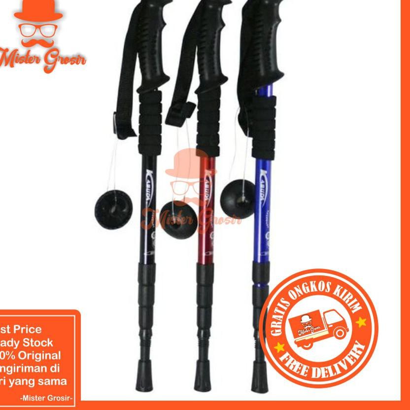 trekking pole price