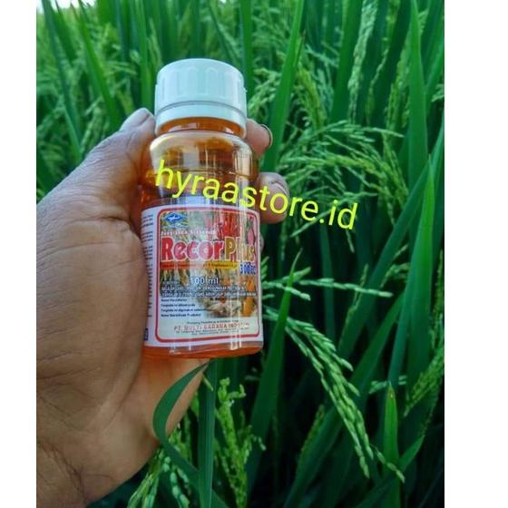 ✨READY✨ FUNGISIDA RECOR PLUS 300EC -  Kemasan 100ml ?