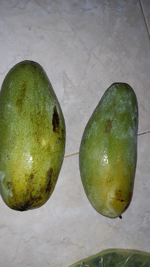 Sancu Naruto 1kg Muat 5psg (untuk Semua Ukuran Dan Karakter) -harga Bisa Nego