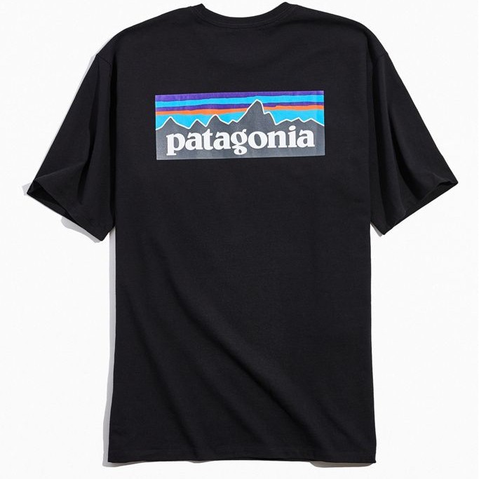 Patagonia tshirt / kaos patagonia