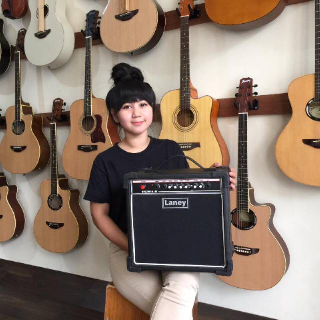 Amply Gitar Laney 8inc