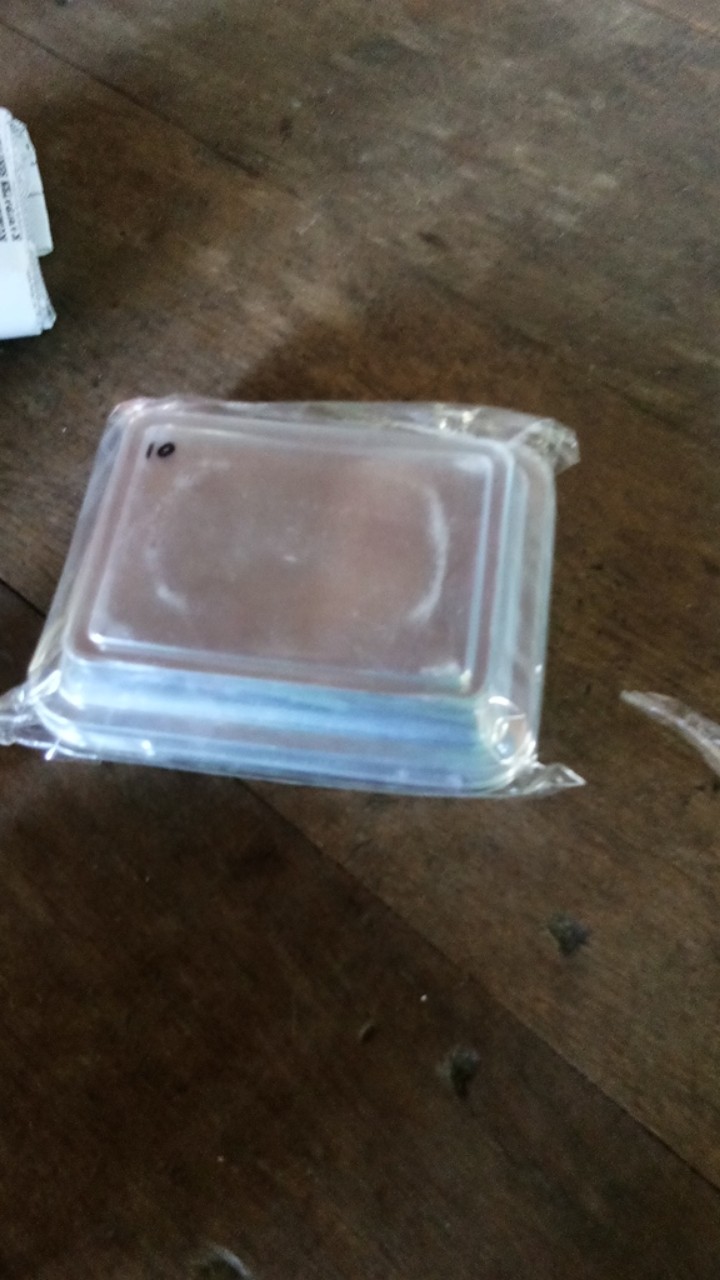 Kotak Bronis Wadah Brownies Kue Kecil