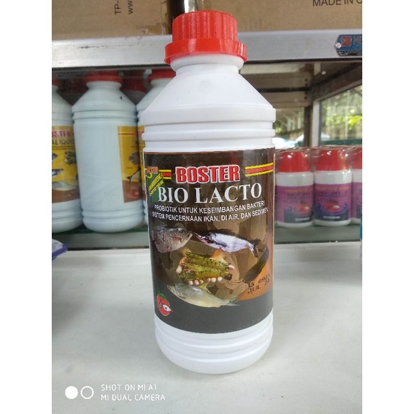 Boster Bio Lacto Probiotik untuk ikan lele nila gurame kemasan 1L