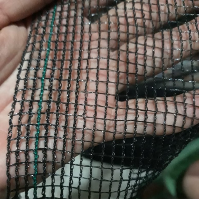 Waring hitam Rk per 50meter