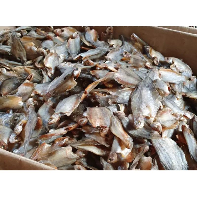 

ikan asin sepat rawa 500grm 26ribu