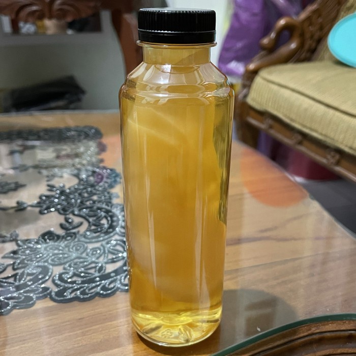 

LAINNYA-KEMASAN-MINUMAN- SCOBY (BIBIT JAMUR) KOMBUCHA SUPER! -MINUMAN-KEMASAN-LAINNYA.