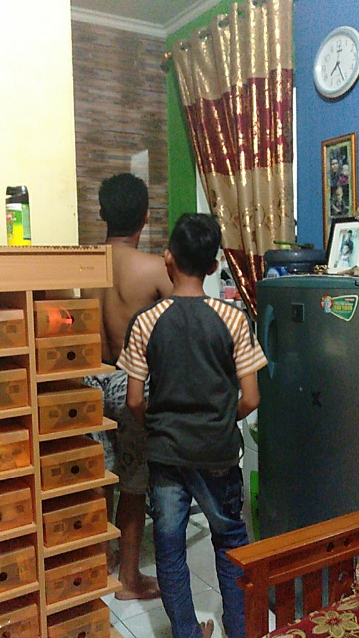 Wallpapaer Terlaris Premium Wps101 Wallpaper Dinding Sticker Wallpaper Stiker 45cm X 5m Bilah Kayu