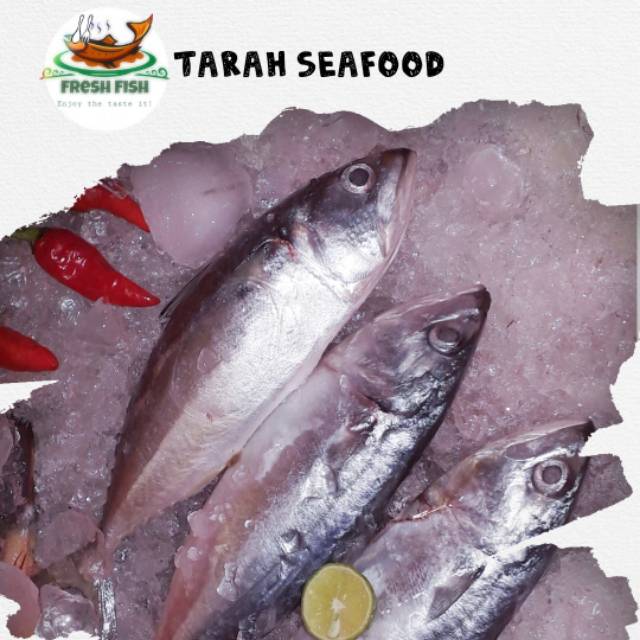 

TERBATASSS!!! Ikan kembung banjar fresh / harga 1/2 KG