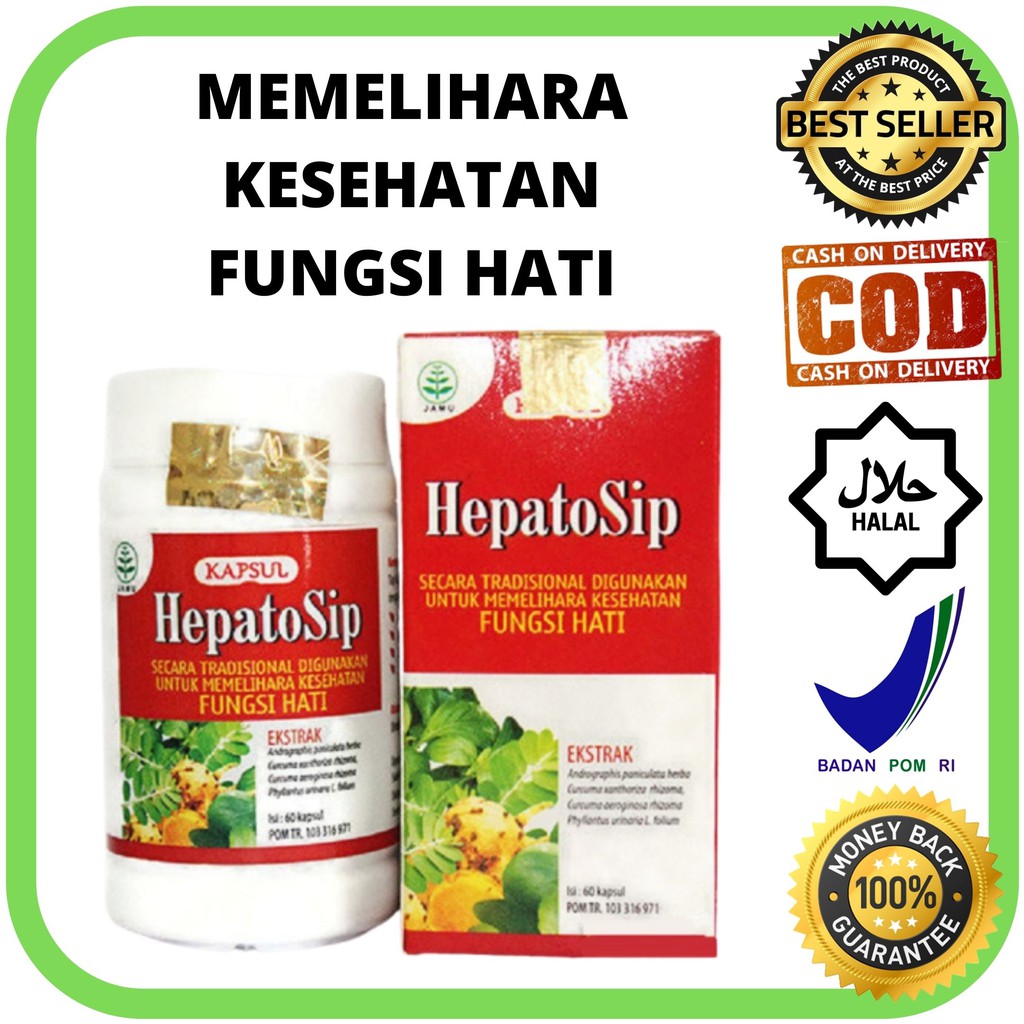 

HEPATOSIP