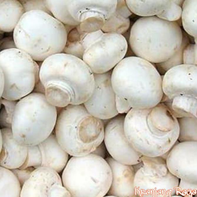 

TERMURAH Jamur Champignon (1/2 kg) - 1 kg Kode 1017
