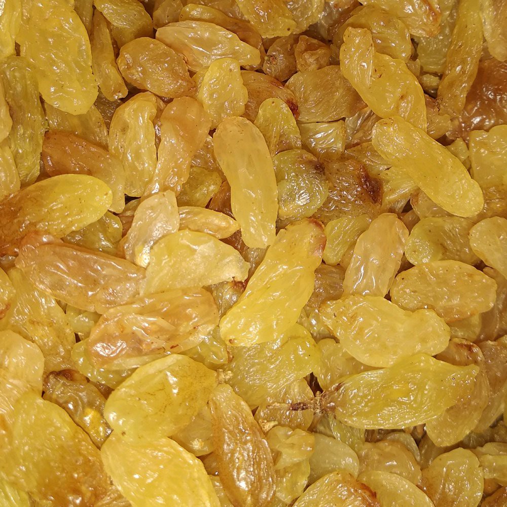 

Kismis Oleh-oleh haji dan umroh - Golden Raisin Termurah