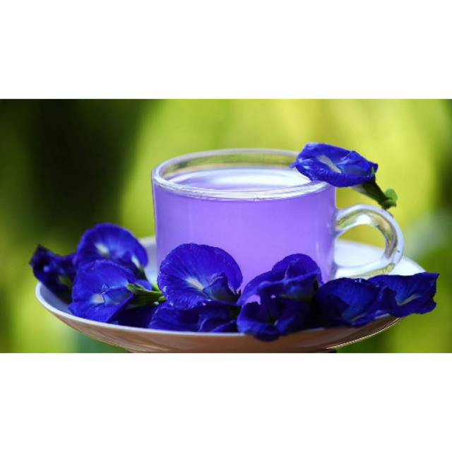 

Teh Telang Clitoria Celup Herbal