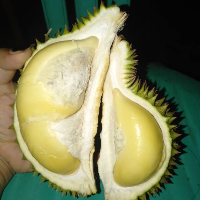 

Dodol lempok durian
