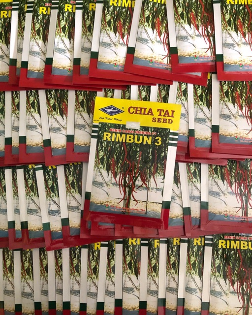 Benih cabai hibrida F1 RIMBUN 3