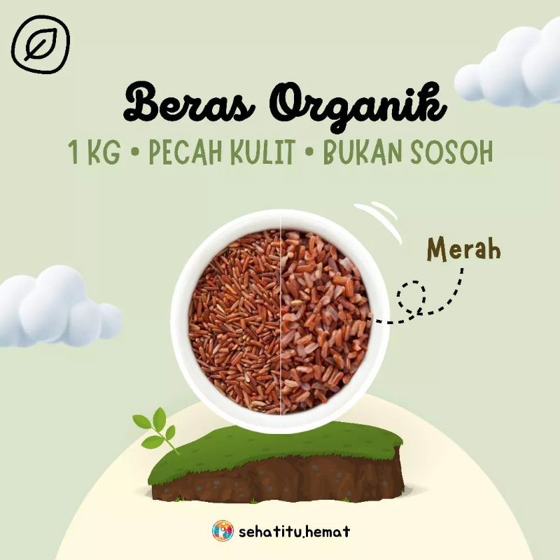 

Beras Organik