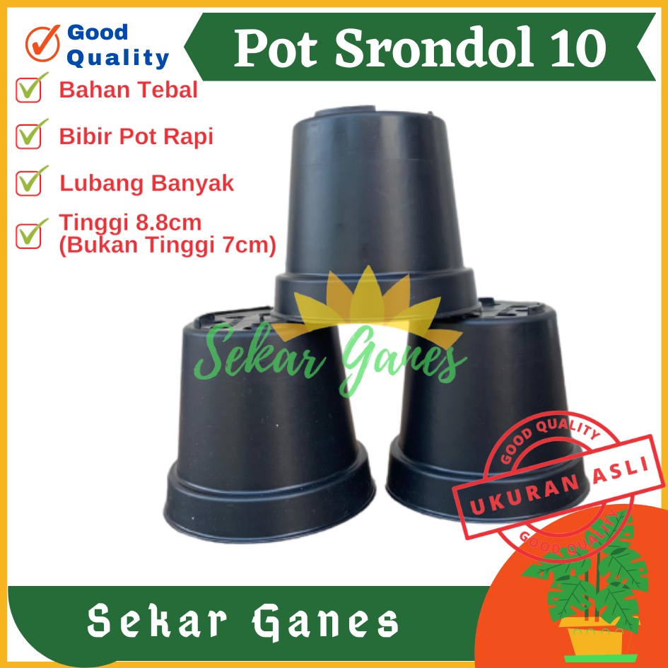 Pot 10cm Hitam Murah - Pot Bulat Mini Kecil Bisa Untuk Vas Bunga Pot 10 cm Hitam Polos Pot Tawon 10