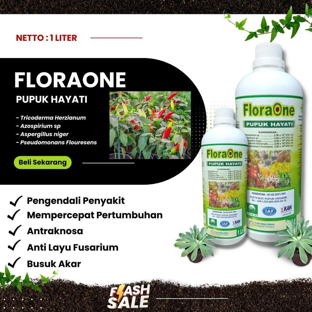 Pupuk Fungisida Hayati Tricoderma Sp Obat Penyakit Patek, Fungisida Hayati Trichoderma Obat Patek pa