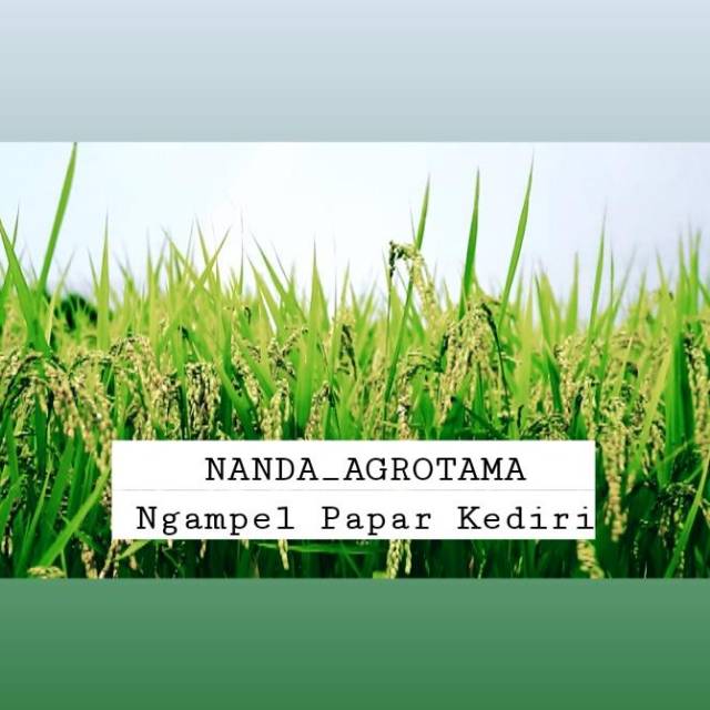nanda_nutria24
