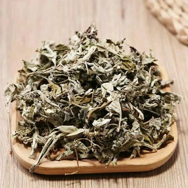 

DAUN BARU CINA / Mugwort KERING 1 KG - Artemisia Vulgaris - MURN