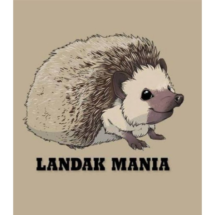 Hoodie pancoat landak unyuunyu