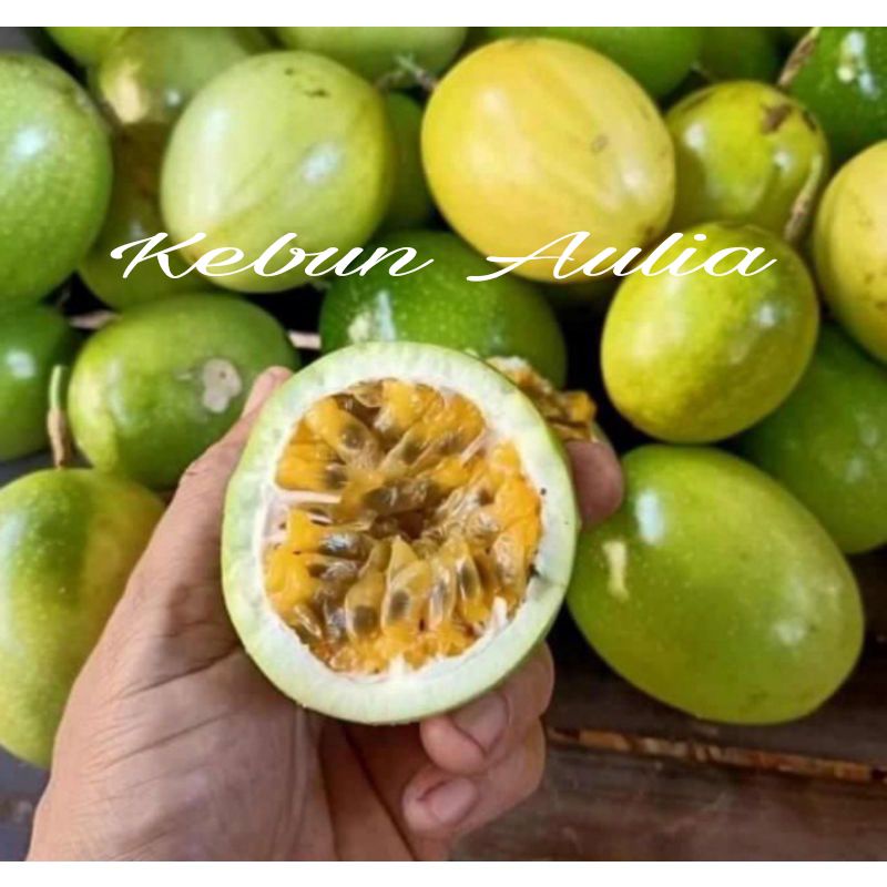 

Buah markisa kuning asam manis 1kg