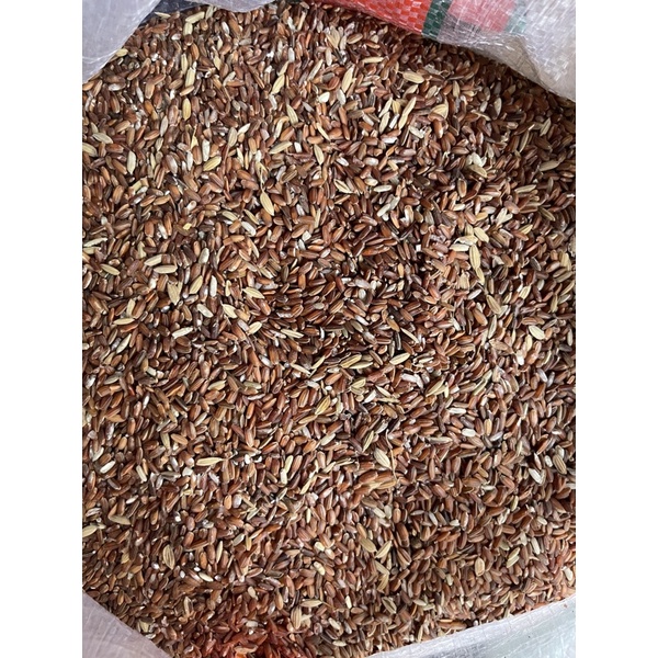 Beras Merah Kiloan Khusus Untuk Ayam