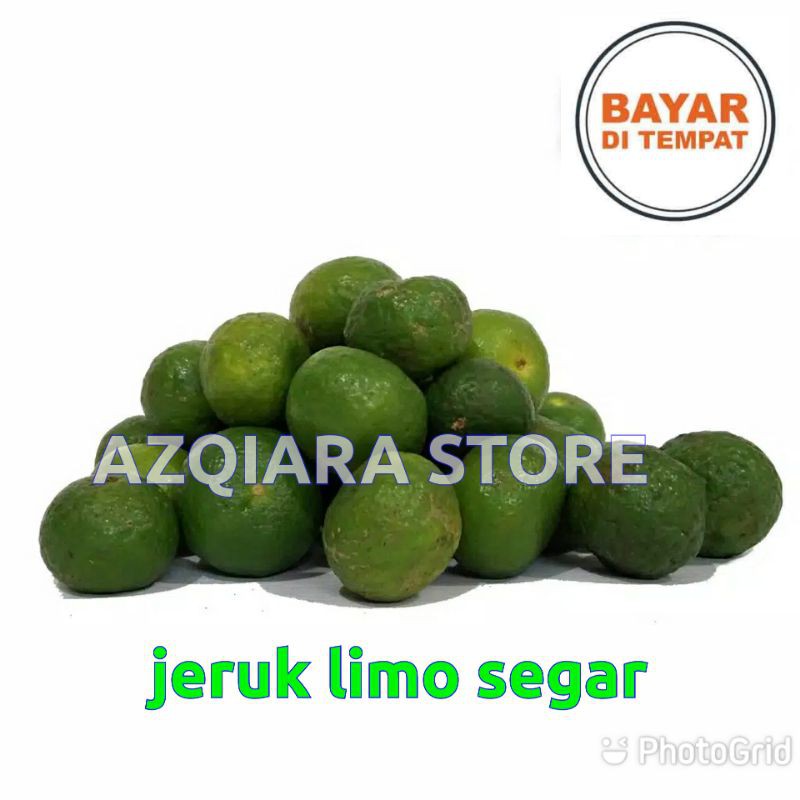 

JERUK LIMO SEGAR LANGSUNG DARI POHON
