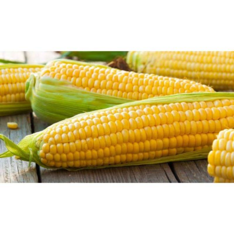 

Sayuran segar Jagung manis /1pcs dijual di warunk juni