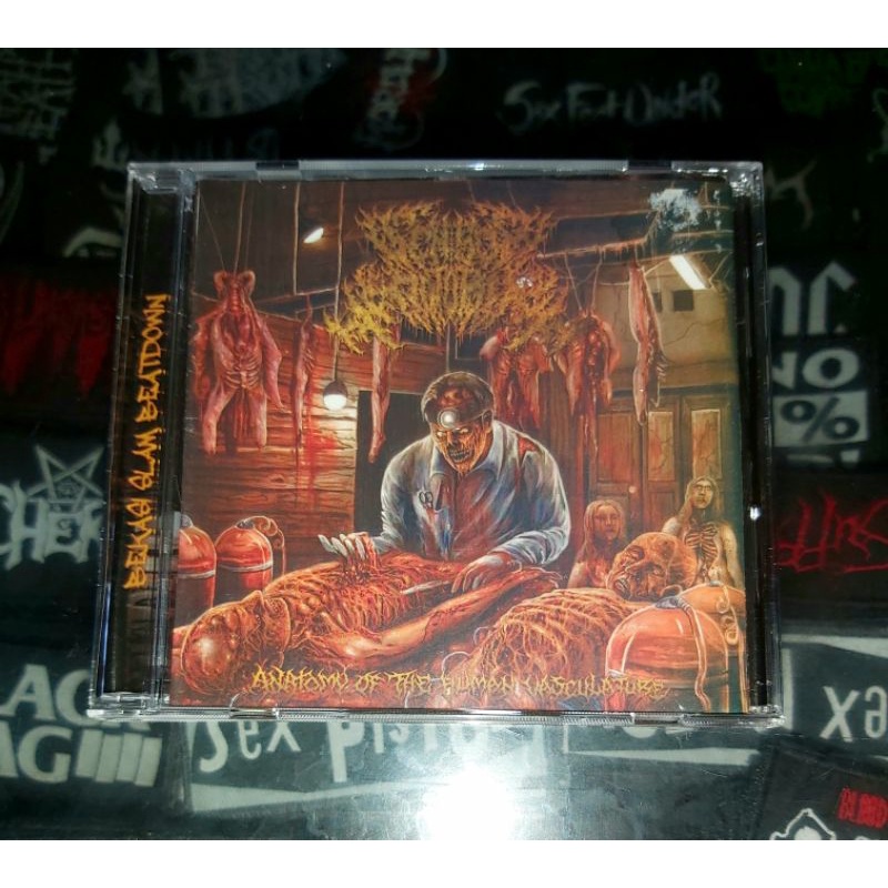 SENSOR MOTORIK - Anatomy Of The Human Vasculature CD