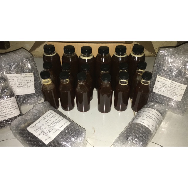 

Madu asli suku baduy original