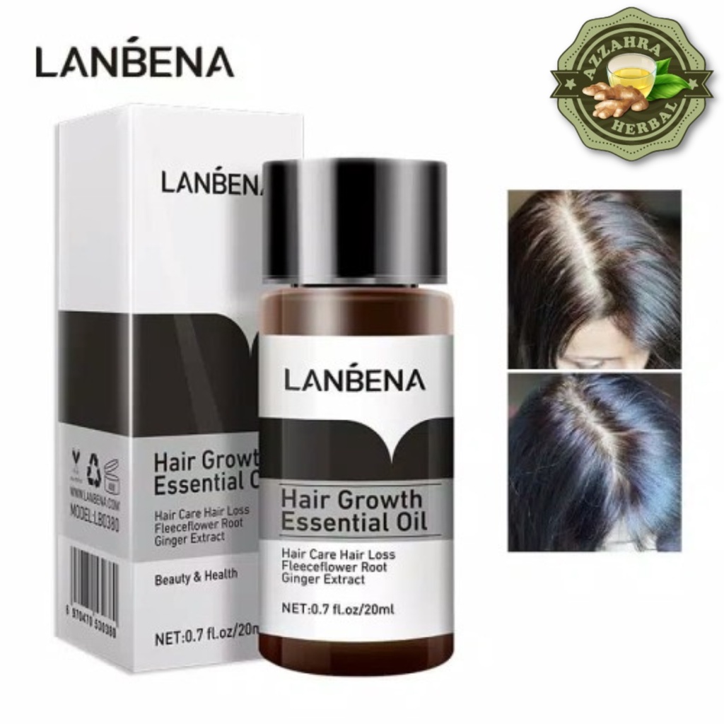 Penumbuh Rambut Botak Dan Rontok Pria Wanita Cepat Serum Essence Penghitam Uban Penyubur Original / LANBENA Hair Growth Oil