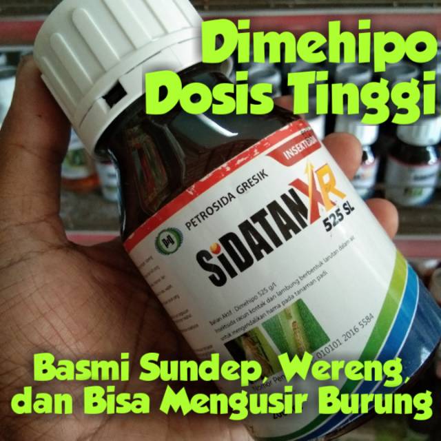 Sidatan XR 525 SL isi 200 ml Obat Sundep / Penggerek Batang dan Wereng