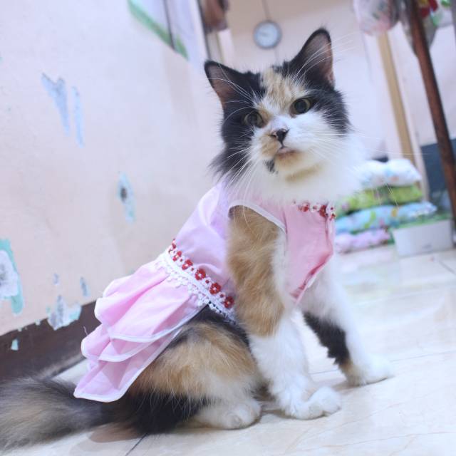 Dress princess pink new 2020 lucu untuk kucing dan anjing / baju kucing murah size S M L XL