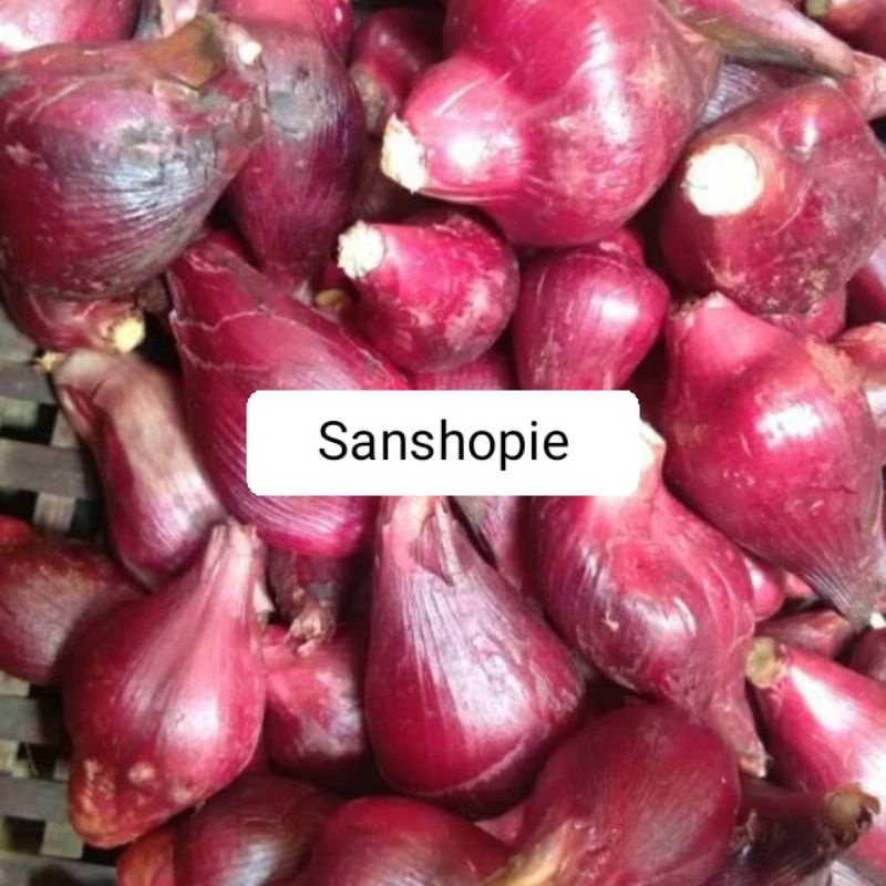 

Umbi Bawang dayak segar paket 1 kg