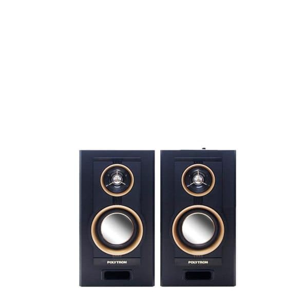 Polytron PAS22 - Active Speaker