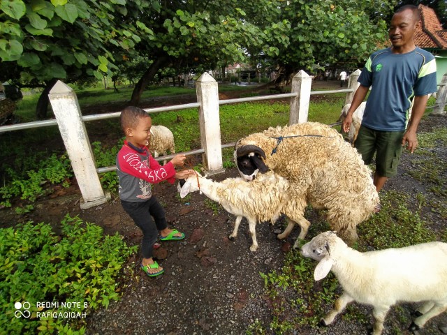 Besar 12 Router Shs121 Bit Set Mata Profil Mata Trimmer Krisbow Tolsen