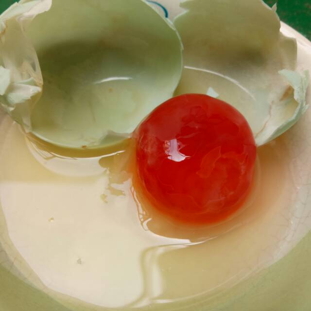 

TELUR ASIN MERAH ORGANIK