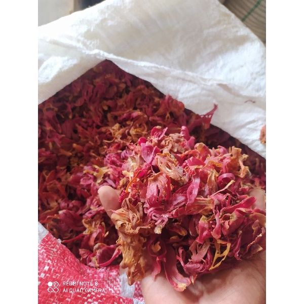 

sempra pala kering/daging pala kering