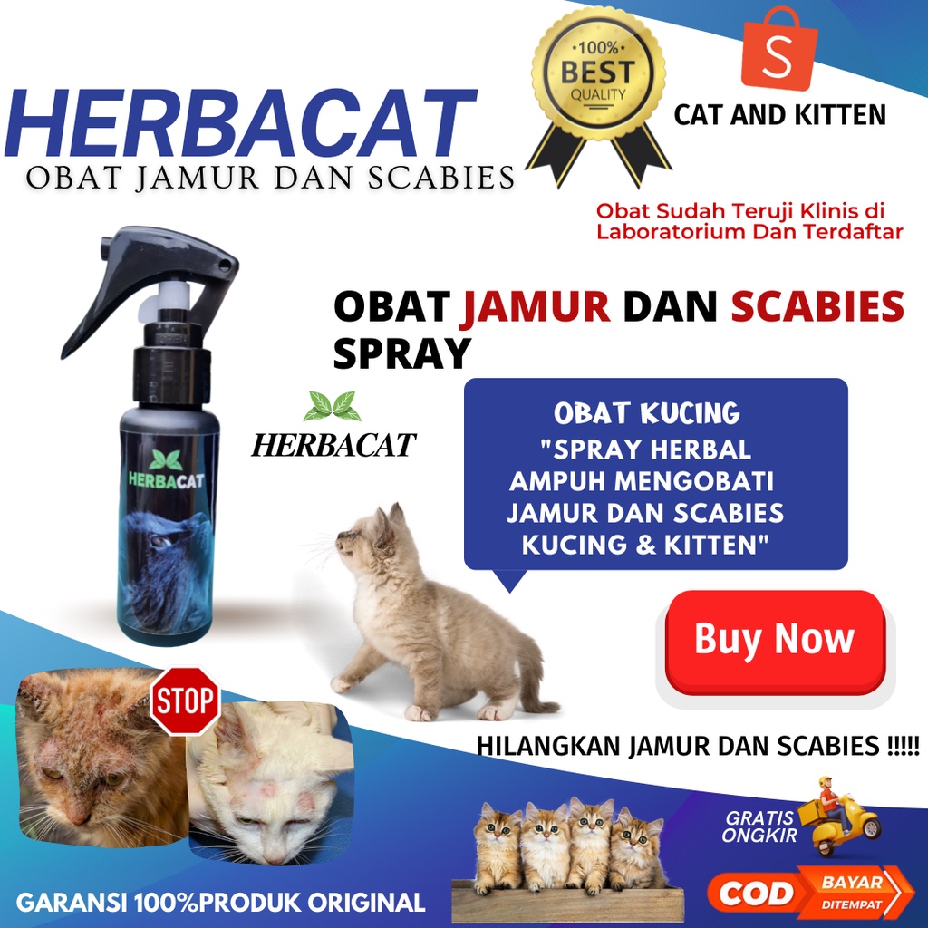 obat spray jamur scabies ampuh Herbacat  obatnya kucing jamuran