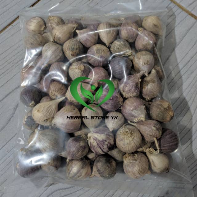 Bawang Lanang / Bawang Tunggal