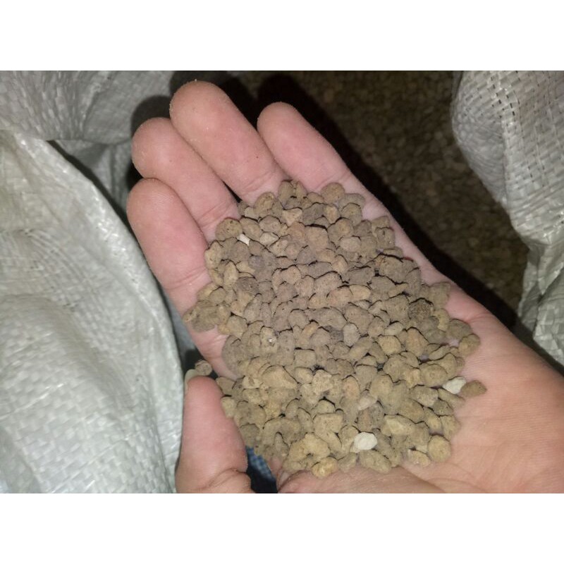 Pumice (1Kg)