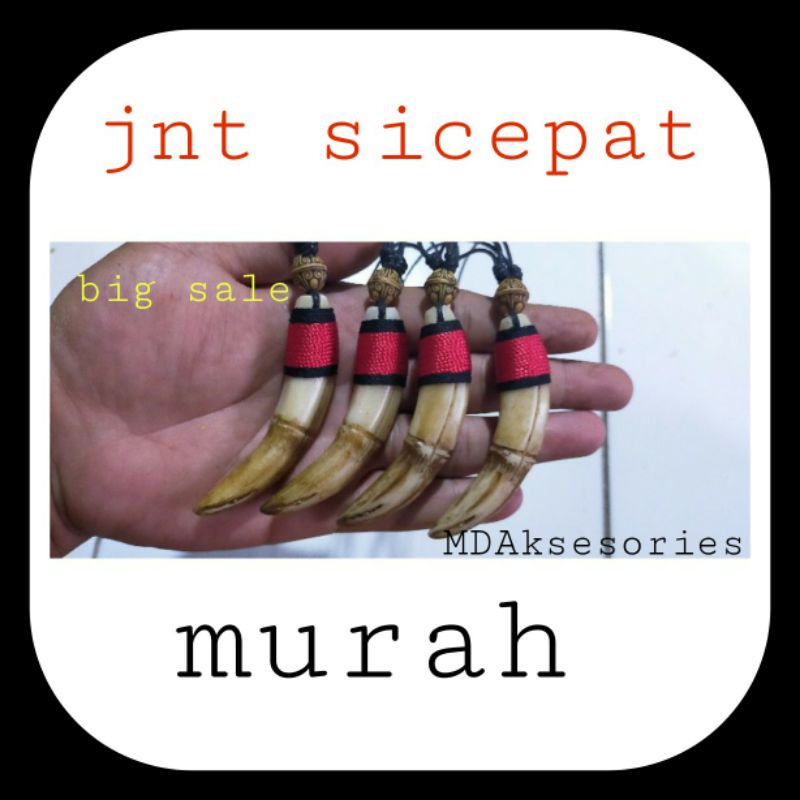 (4pcs)Taring Babi Kalung Tali Hitam Kuku Macan Harimau Etnik