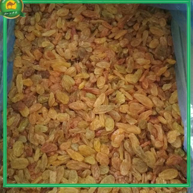 

Banyak Bonus kismis golden raisin 1 kg Boleh Diadu
