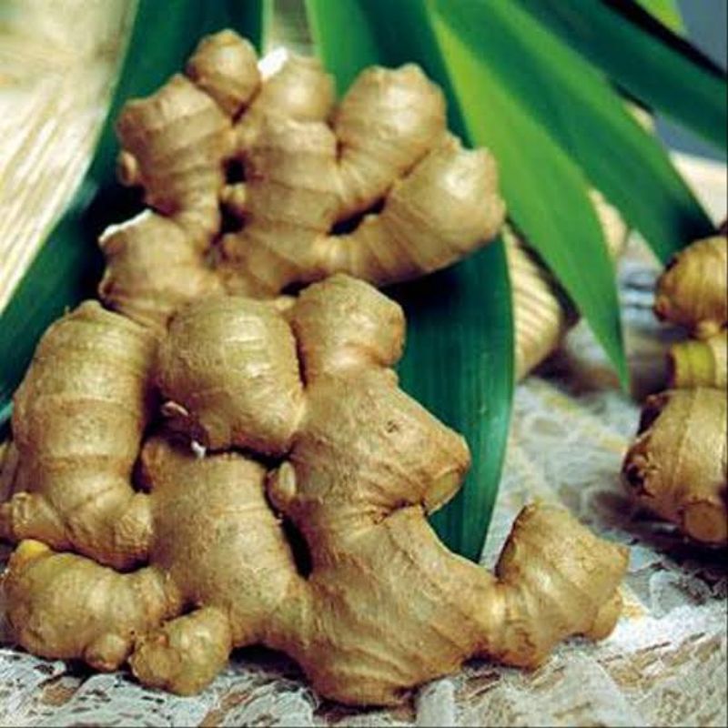 

Jahe Emprit Segar 250 gr