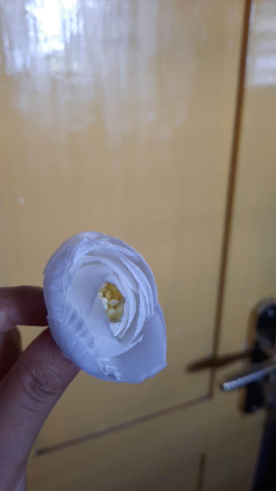 Bunga Peony Mangkok Sedang